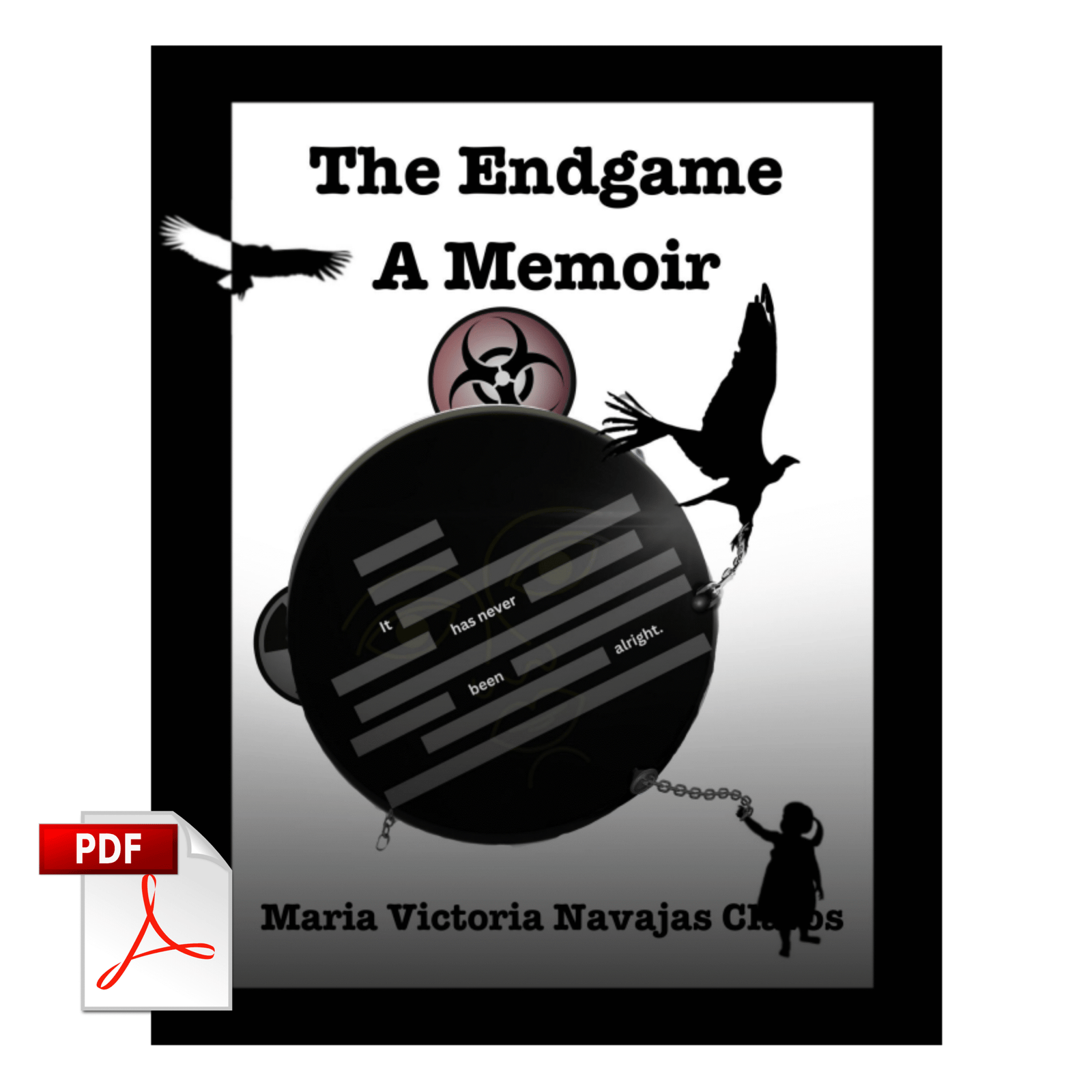 The Endgame A Memoir