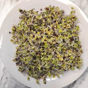 Sprouting Seeds- Organic Broccoli- 100g